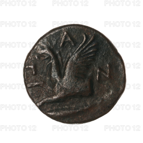 Bronze coin, Pantikapaion, 330–315 BC, Cimmerian Bosporus. Obverse: head of a bearded Satyr without a wreath facing right. Reverse: protoma of an eagle-headed griffin facing left; at the bottom a sturgeon facing left; letters on the sides and top. Iconography: protoma of a griffin, head of a Satyr, fish (sturgeon). Coin; weight 4.80 g; axis 180°; dimensions ~19.9–20.4 mm. Maker: Pantikapaion.