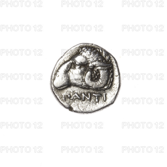 Diobol, Pantikapaion; obverse: head of a bearded Satyr in an ivy wreath facing left; reverse: ram's head facing left with inscription below; iconography: Satyr, ram; Black Sea (Cimmerian Bosporus), Pantikapaion; date: 340–330 BC; type: coin; weight: 1.93 g; axis: 60°; dimensions: 12.3 × 12.5 mm.