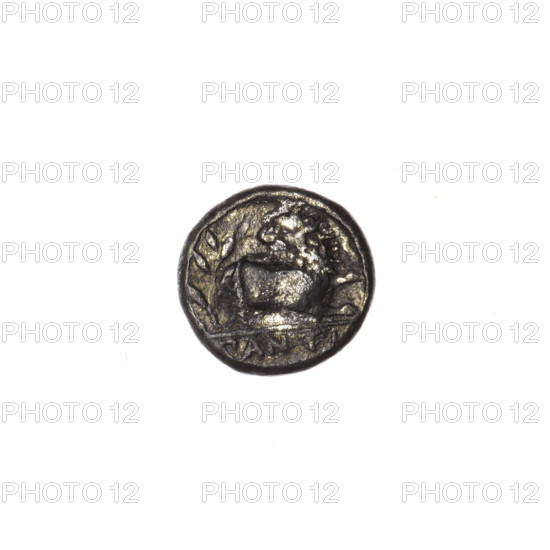 Obol, Pantikapaion; obverse: head of a beardless Satyr in a willow wreath facing right; reverse: lion protoma with head turned back facing right, laurel branch on the left, inscription in the cut; iconography: laurel branches, lion protoma, Satyr's head; Satyr (mythology), lions, animals; Black Sea, Cimmerian Bosporus, Pantikapaion; date: 340–330 BC; maker: Terlecki, Ignacy (1860–1916) [note: attribution?]; coin; weight 0.65 g; axis 270°; dimensions: 8.9 mm × 8.7 mm.