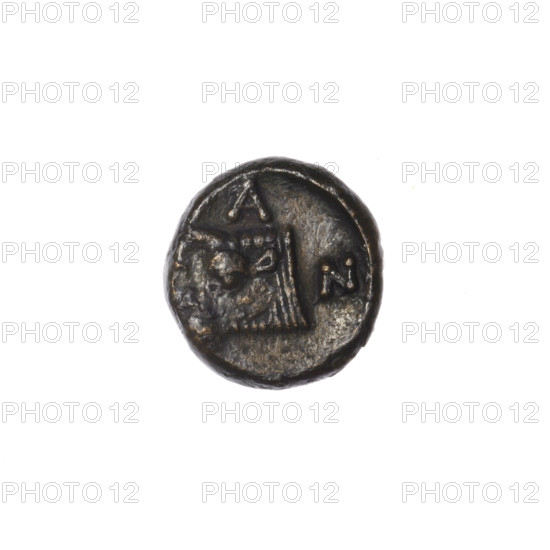 bronze coin, Pantikapaion; obverse: head of a beardless satyr to the right; reverse: bull's head to the left, with letters on the sides and at the top; iconography: Satyr's head, bull's head; subject: Satyr (mythology), bulls, animals; date: 340–330 BC; region: Cimmerian Bosporus, Black Sea; material: bronze; coin; weight: 1.40 g; dimensions: 11.5 mm and 11 mm