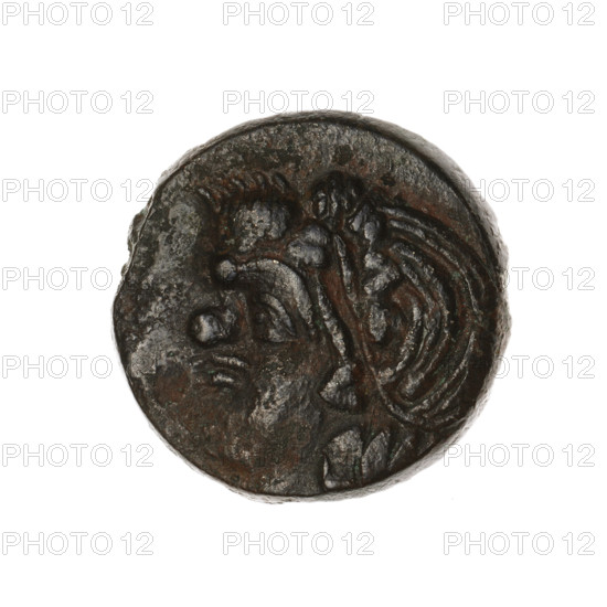 Bronze coin, Pantikapaion; obverse: head of a beardless satyr in an ivy wreath facing left; reverse: lion's head facing left with a sturgeon below it facing left, letters at the top and sides; iconography: satyr, lion, animals, fish, sturgeons; Cimmerian Bosporus (Pantikapaion), ca. 315–300 BC; weight 8.00 g; axis 330°; dimensions ~18.4 × 19 mm.