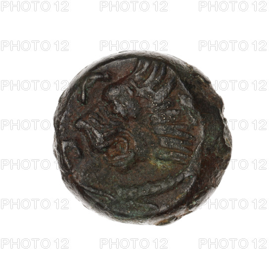 Bronze coin, Pantikapaion; obv.: head of a beardless Satyr in an ivy wreath facing left; rev.: lion's head facing left, sturgeon below facing left, letters at the top and sides. Iconography: Satyr's head, lion's head, Satyr (mythology), lions, animals, fish, sturgeons. Date: 315–300 BC. Region: Cimmerian Bosporus (Pantikapaion). Weight: 8.00 g. Axis: 330°. Dimensions: 18.4 × 19 mm.