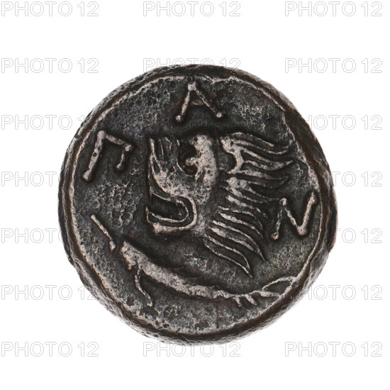 bronze coin, Pantikapaion; Satyr's head (iconographic), lion's head (iconographic); Black Sea region; Satyr (mythology), lions, animals, fish, sturgeons; obv.: head of a beardless Satyr in an ivy wreath to the left; rev.: lion's head to the left, below it a sturgeon to the left, letters at the top and sides; 315–300 BC; Cimmerian Bosporus, Pantikapaion; coin; weight 7.05 g; axis 330°; dimensions: 20.3 mm × 20.4 mm.