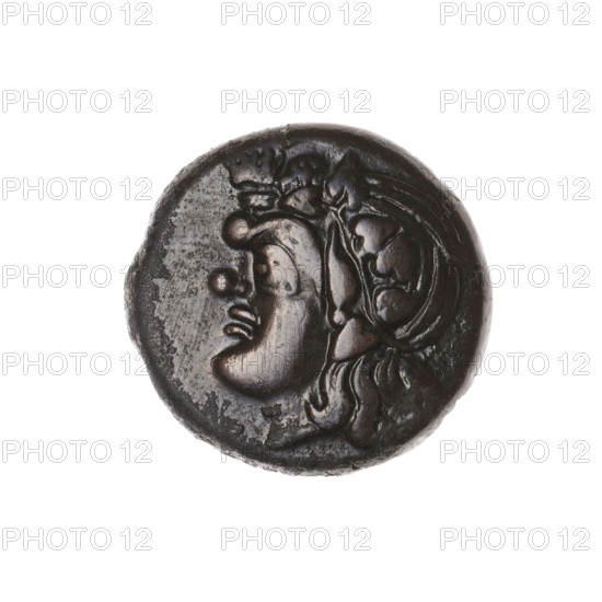 bronze coin, Pantikapaion; obverse: head of a beardless Satyr in an ivy wreath to the left; reverse: lion head to the left, below it a sturgeon to the left, letters at the top and sides; iconography: Satyr head, lion head, animals, fish, sturgeons; Satyr (mythology); 315–300 BC; Cimmerian Bosporus, Pantikapaion; coin; weight 8.03 g; axis 330°; dimensions 20 mm × 20.6 mm; maker/date: 315–300 BC.