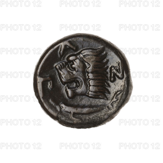 Bronze coin, Pantikapaion; obverse: head of a beardless satyr in an ivy wreath facing left; reverse: lion head facing left, below it a sturgeon facing left; letters at top and sides. Iconography: satyr, lions, animals, fish (sturgeon). Date: 315–300 BC. Region: Cimmerian Bosporus, Pantikapaion. Materials/format: coin, weight 8.03 g; axis 330°; diameter approx. 20–20.6 mm. Makers/attribution: Pantikapaion.