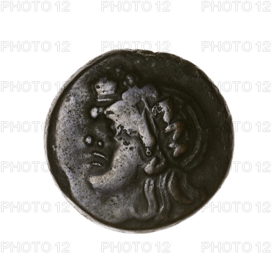 bronze coin, Pantikapaion; obv.: head of a beardless Satyr in an ivy wreath facing left; rev.: lion head facing left, sturgeon below it facing left, letters at the top and sides; Satyr (mythology), lions, animals, fish, sturgeons; 315–300 BC, Cimmerian Bosporus, Pantikapaion; coin; weight 6.76 g; axis 330°; dimensions 19.2 × 19.7 mm