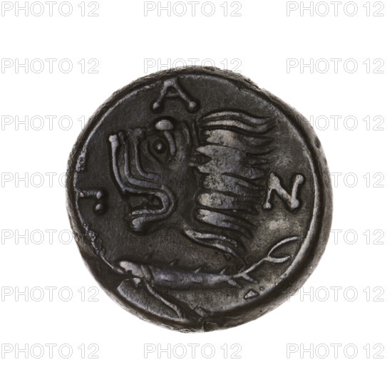 bronze coin, Pantikapaion, lion head (iconographic), Satyr head (iconographic), Black Sea, Satyr (mythology), lions, animals, fish, sturgeons, provenance, obv.: head of a beardless Satyr in an ivy wreath facing left; rev.: lion head facing left, sturgeon below it facing left, letters at the top and sides; 315–300 BC, Cimmerian Bosporus, Pantikapaion, coin, weight 6.76 g, axis 330°, dimensions 19.2 × 19.7 mm