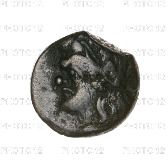 Bronze coin, Pantikapaion, 315–300 BC, Cimmerian Bosporus; obverse: head of a beardless Satyr in an ivy wreath facing left; reverse: lion head left, below it a sturgeon left, letters at top and sides; iconography: Satyr's head, lion head; animals: lion, fish (sturgeon); weight 6.62 g; axis 330°; dimensions 18.2 × 18.8 mm.