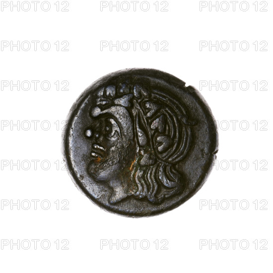 Bronze coin, Pantikapaion; obv.: head of a beardless satyr in an ivy wreath to the left; rev.: lion's head to the left, below it a sturgeon to the left, letters at the top and sides; iconography: satyr's head, lion's head, lions, animals, fish, sturgeons; satyr (mythology); 315–300 BC; Cimmerian Bosporus, Pantikapaion; coin; weight 6.40 g; axis 330°; dimensions 19 mm × 19.8 mm.