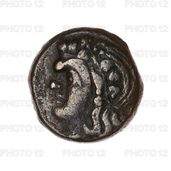 Bronze coin, Pantikapaion; obv.: head of a beardless satyr in an ivy wreath facing left; rev.: lion head left, below it a sturgeon left, letters at top and sides. Iconography: satyr's head, lion head, animals, fish (sturgeon). Cimmerian Bosporus (Pantikapaion), ca. 315–300 BC. Weight 6.34 g; axis 330°; dimensions 19.3 × 19.3 mm.