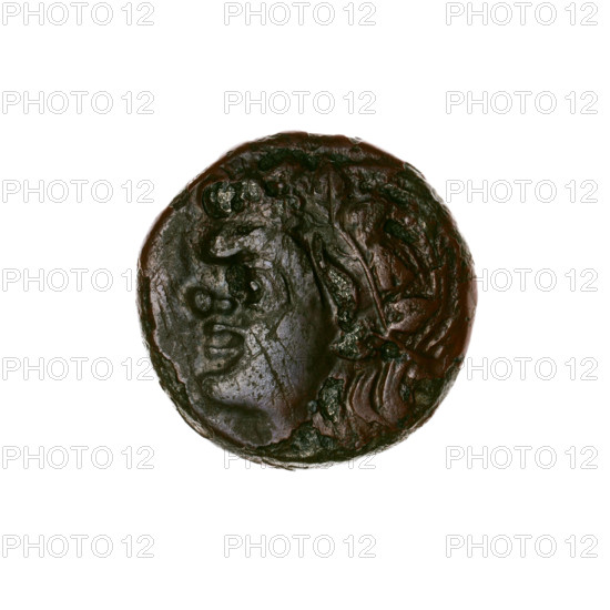 bronze coin, Pantikapaion; obverse: head of a beardless Satyr in an ivy wreath facing left; reverse: lion head facing left with a tuna (fish) below to the left; legends/letters at top and sides; iconography: Satyr's head, lion head, animals, fish (sturgeon/tuna); c. 315–300 BC; Cimmerian Bosporus (Pantikapaion); weight 6.00 g; diameter ~19.1 × 19 mm.
