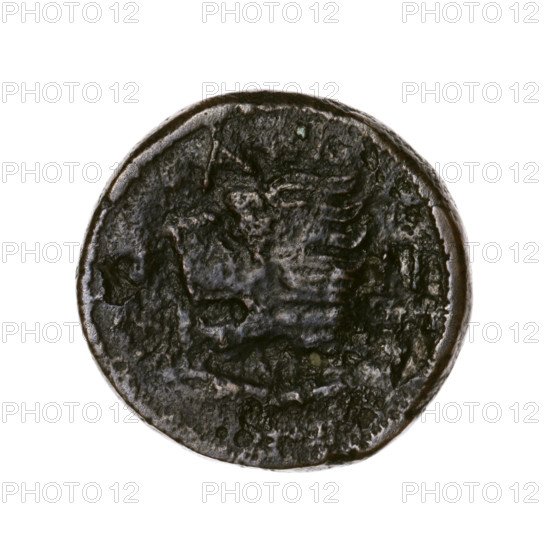 Bronze coin, Pantikapaion; obverse: head of a beardless Satyr in an ivy wreath facing left; reverse: lion head left, below it a sturgeon left, letters at top and sides; iconography: Satyr's head, lion head; subjects: Satyr (mythology), lions, animals, fish, sturgeons; date: 315–300 BC; region: Cimmerian Bosporus, Pantikapaion; weight: 5.63 g; axis: 330°; dimensions: 20 mm and 20.3 mm.