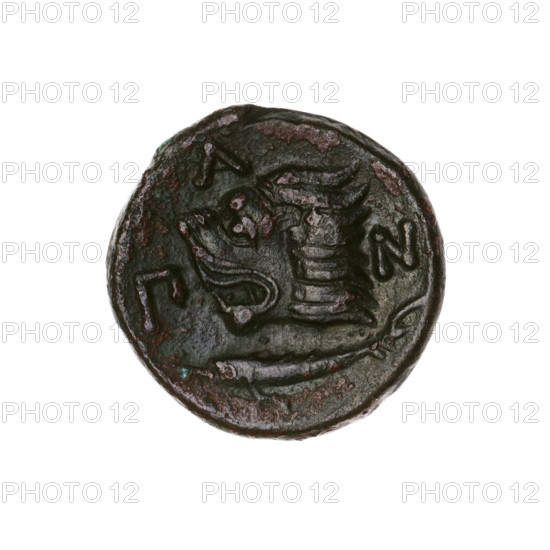 bronze coin, Pantikapaion; obv.: head of a beardless Satyr in an ivy wreath to the left; rev.: lion head to the left, below it a sturgeon to the left, letters at the top and sides; iconography: Satyr's head, lion head, fish (sturgeon); motifs: Satyr (mythology), lions, animals; dated 315–300 BC; region: Cimmerian Bosporus, Pantikapaion; material: bronze; type: coin; weight 5.30 g; axis 330°; dimensions approx. 20.2–21.2 mm; maker/date attribution: 315–300 BC.