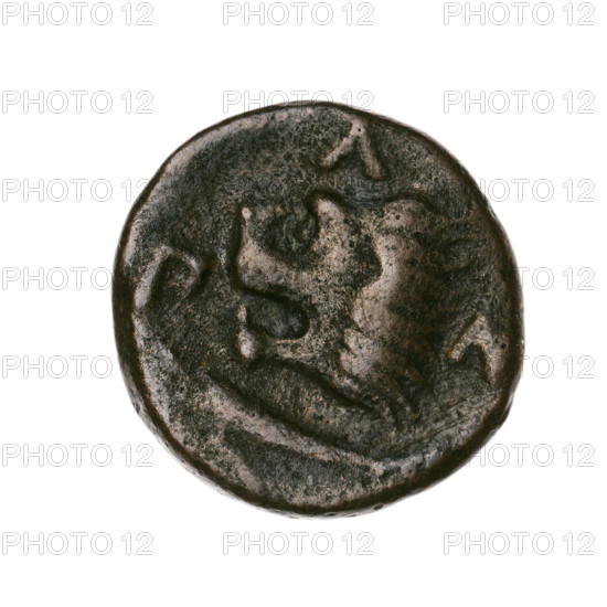 bronze coin, Pantikapaion, lion head (iconographic), Satyr's head (iconographic), Black Sea, Satyr (mythology), lions, animals, fish, sturgeons; obv.: head of a beardless Satyr in an ivy wreath to the left; rev.: lion head to the left, below it a sturgeon to the left, letters at the top and sides; 315–300 BC, Cimmerian Bosporus, Pantikapaion; coin; weight 5.30 g; axis 330°; diameter ~19.1–19.7 mm