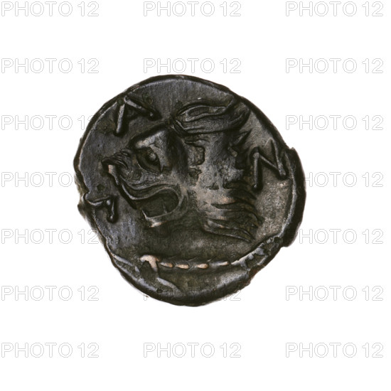 bronze coin, Pantikapaion; obverse: head of a beardless Satyr in an ivy wreath facing left; reverse: lion head to left, below it a sturgeon to left, letters at top and sides; iconography: Satyr's head, lion head; subjects: Satyr (mythology), lions, animals, fish, sturgeons; date: 315–300 BC; place: Cimmerian Bosporus, Pantikapaion; function: coin; material: bronze; weight 5.25 g; axis 330°; diameter ~20.5–21.4 mm; maker/date attribution: Terlecki, Ignacy (1860–1916)