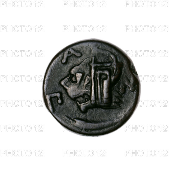 bronze coin, Pantikapaion; obverse: head of a beardless Satyr in an ivy wreath facing left with a countermark (twelve-pointed star) on the head; reverse: lion head with a gaping mouth facing left, below it a sturgeon facing left, letters on the sides and at the top, countermark on the head (bow in quiver); countermarks (twelve-pointed star, bow in quiver); iconography: Satyr's head, lion head, sturgeon, stars, bow in quiver, fish, gorytos, quivers, weapons; Satyr (mythology), lions, animals, bows, armament; early 3rd century BC; Cimmerian Bosporus, Pantikapaion; coin; bronze; weight 6.40 g; diameter ~20.5–20.6 mm