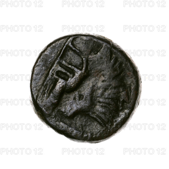 Bronze coin, Pantikapaion; obverse: head of a beardless Satyr in an ivy wreath facing left, with a twelve-pointed star countermark on it; reverse: lion head with open mouth facing left, sturgeon below facing left, letters on the sides and at the top, countermark on the head (arch in the quiver); iconography: Satyr's head, lion head, sturgeons, fish, bows, quiver, gorytos, weapons, twelve-pointed star countermark, stars; beginning of the 3rd century BC; Cimmerian Bosporus (Pantikapaion); coin; weight 6.22 g; axis 330°; dimensions 18.5 × 19 mm.