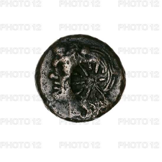 Bronze coin, Pantikapaion, beginning of 3rd century BC. Obverse: head of a beardless Satyr in an ivy wreath facing left, with a twelve-pointed star countermark on the head. Reverse: lion head with gaping mouth facing left; below, a sturgeon facing left; letters on the sides and at the top; countermark (bow in a quiver) on the head. Iconography: Satyr, lion head, sturgeon, twelve-pointed star, bow in a quiver, quivers, gorytos, stars, fish, animals, bows, weapons. Weight 5.95 g; diameter ~19.5–20.3 mm.