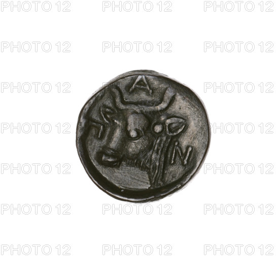 Bronze coin, Pantikapaion; obverse: head of a bearded Satyr facing left; reverse: bull's head facing left with letters on the sides and at the top. Iconography: Satyr (mythology), bulls, animals. Date: beginning of the 3rd century BC. Region: Cimmerian Bosporus, Pantikapaion. Material: bronze. Function: coin. Weight: 4.26 g. Dimensions: 17 mm.