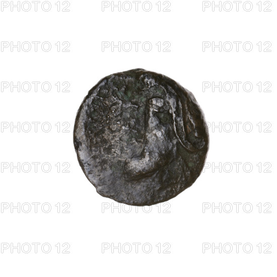 bronze coin, Pantikapaion; obverse: head of bearded Satyr left; reverse: head of bull left, letters on the sides and at the top; iconography: Satyr (mythology), bulls, animals; Cimmerian Bosporus, Pantikapaion (Ochakiv area); beginning of the 3rd century BC; weight 3.43 g; axes 180°; dimensions 17 mm × 16.8 mm.