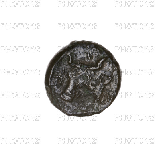 bronze coin, Pantikapaion; obverse: head of bearded Satyr to the left; reverse: head of bull to the left, letters on the sides and at the top; iconography: Satyr (mythology), bull; Cimmerian Bosporus, Pantikapaion (Ochakiv area); beginning of the 3rd century BC; coin; weight 3.43 g; diameter approx. 17 mm; axis 180 degrees
