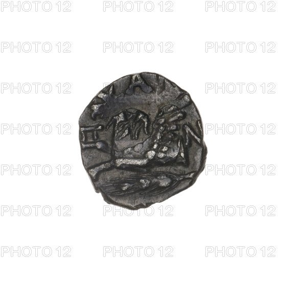 drachma, Pantikapaion, ears of corn, protoma of a griffin (iconographic), head of Apollo (iconographic), Black Sea, griffins, Apollo (mythology), countermarks (numism), plants; aw: head of Apollo in a laurel wreath to the right; rw: protoma of an eagle-headed griffin to the left, below it an ear of corn to the left, on the sides and at the top letters, countermark ?; 270 - 201 BC, Cimmerian Bosporus, Pantikapaion, coin, weight 2.12 g, diameter 14.8 × 14.5 mm