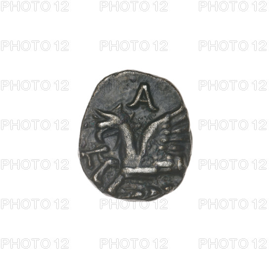 Drachma, Pantikapaion; obverse: head of Apollo in a laurel wreath to the right; reverse: protoma of an eagle-headed griffin to the left, below it an ear of corn to the left, letters on the sides and at the top; iconography: ears of corn, protoma of a griffin, head of Apollo; griffins; Apollo (mythology); plants; Black Sea; 270–201 BC; Cimmerian Bosporus, Pantikapaion; coin; weight 2.05 g; axis 60°; dimensions 14 mm × 15.1 mm.