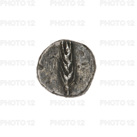 Triobol, Pantikapaion; obverse: head of Apollo in laurel wreath facing right; reverse: ear of corn (vertically). Black Sea (Cimmerian Bosporus), Pantikapaion. Apollo (mythology); plants. 270–201 BC. Coin; weight 2.28 g; axis 30°; dimensions 13.8 × 14.1 mm.