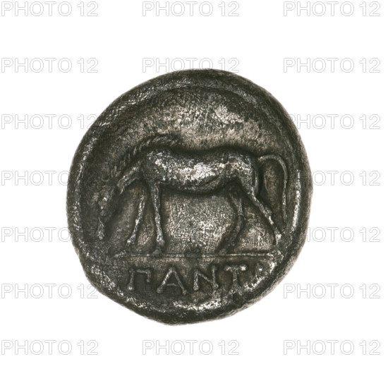 didrachma, Pantikapaion; obverse: head of a beardless Satyr in an ivy wreath facing left; reverse: standing horse facing left with lowered head, inscription (cut-off); Satyr (mythology), animals; end of 3rd century BC, Cimmerian Bosporus; coin; weight 6.28 g; axis 210°; dimensions 20 mm × 21.1 mm