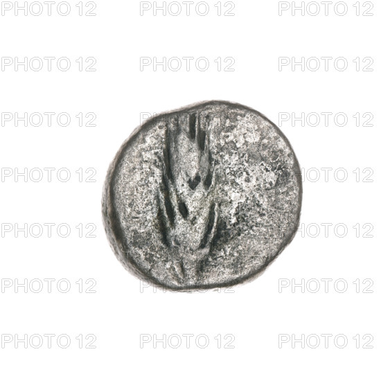 Triobol from Pantikapaion (Cimmerian Bosporus), 270–201 BC. Obverse: head of Apollo in laurel wreath facing right; Reverse: ear of corn vertically. Material: coin; weight 2.55 g; dimensions 13.2 mm and 14.1 mm. Subjects/icons: ears of corn, head of Apollo (iconographic/mythological), plants, Black Sea.