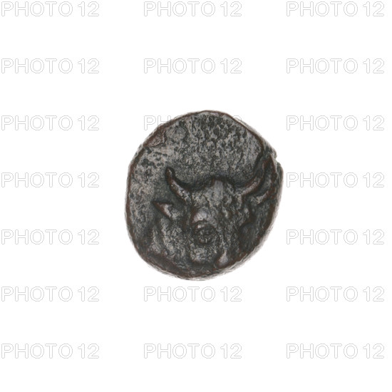 bronze coin, Pantikapaion; obverse: bull's head 3/4 right; reverse: plough left, above it ear of corn left, letters on sides and top; iconography: ears of corn, ploughs, bull's head; bulls, animals, tools, plants; Cimmerian Bosporus, Pantikapaion; end of 3rd–1st half of 2nd century BC; weight 1.92 g; axis 240°; dimensions 12.3 × 11.5 mm