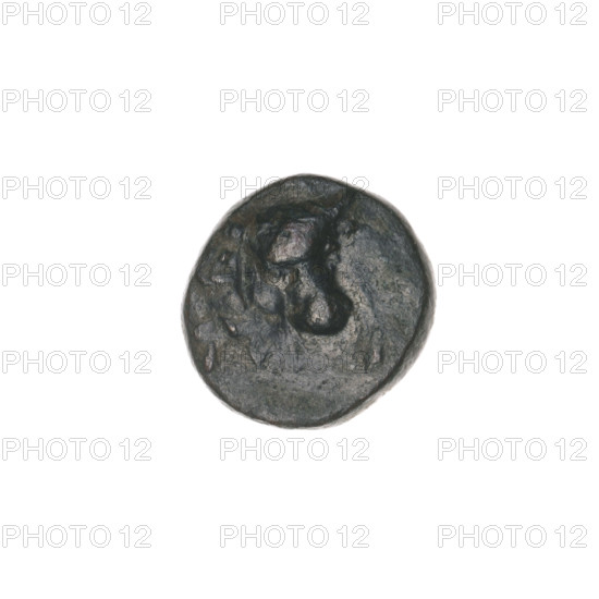 bronze coin, Pantikapaion, ears of corn, bull's head (iconographic), plows, Black Sea, bulls, animals, tools, plants, in: bull's head 3/4 to the right; in: plough to the left, above it an ear of corn to the left, letters on the sides and top; end of 3rd - 1st half of 2nd century BC, Cimmerian Bosporus, Pantikapaion, coin, weight 1.80 g, axis 270 deg, dimension 1 12.1 mm, dimension 2 12.1 mm