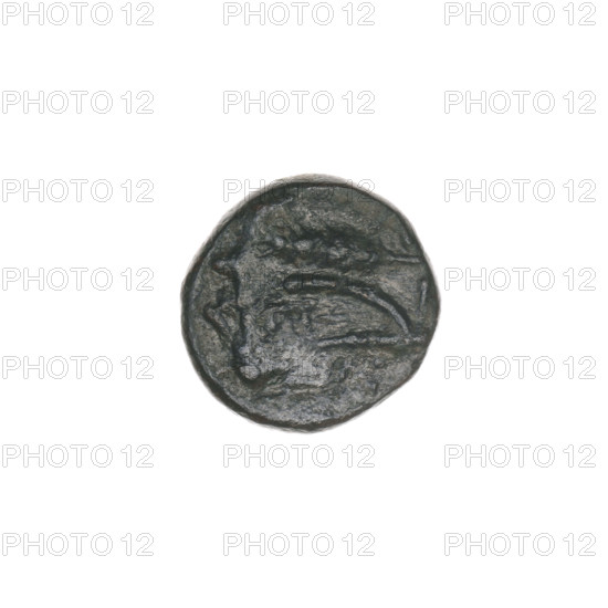 bronze coin, Pantikapaion, ears of corn, bull's head (iconographic), plows, Black Sea, bulls, animals, tools, plants, in: bull's head 3/4 to the right; in: plough to the left, above it an ear of corn to the left, letters on the sides and top; end of 3rd - 1st half of 2nd century BC, Cimmerian Bosporus, Pantikapaion, coin, weight 1.80 g, axis 270°, diameter 12.1 mm