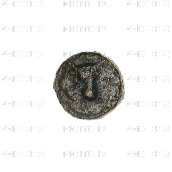Bronze coin, Pantikapaion; obverse: bull's head 3/4 to the right; reverse: plow to the left, above it an ear of corn to the left, letters on the sides and top; iconography: ears of corn, bull's head, plows, bulls, animals, plants, tools; function: coin; provenance: Cimmerian Bosporus, Pantikapaion; date: end of 3rd–1st half of 2nd century BC; weight: 1.83 g; axis 90°; dimensions: 10.6 × 11.1 mm.