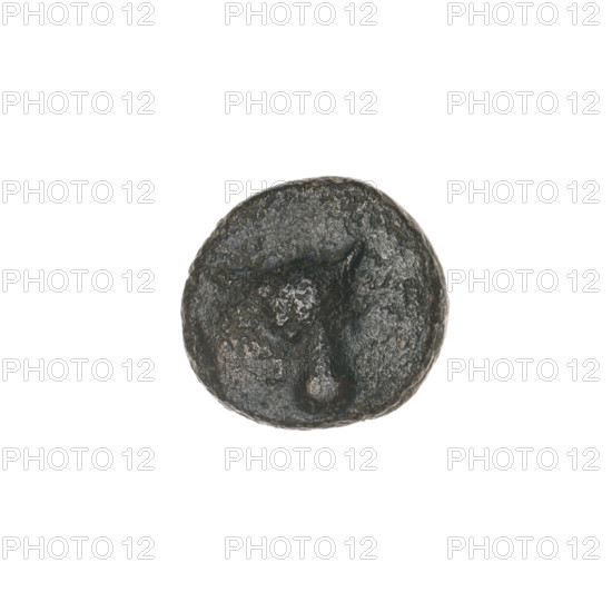 bronze coin, Pantikapaion; obverse: bull's head 3/4 to the right; reverse: plough to the left, above it an ear of corn to the left, letters on the sides and top; iconography: ears of corn, bull's head, plows; bulls, animals, tools, plants; end of 3rd – first half of 2nd century BC; Cimmerian Bosporus, Pantikapaion; coin; weight 1.60 g; axis 90°; dimensions: 11.5 × 12.3 mm