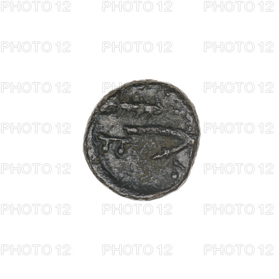 bronze coin, Pantikapaion; obverse: bull's head 3/4 to the right; reverse: plough to the left, above it an ear of corn to the left, letters on the sides and top; iconography: ears of corn, bull's head, plows; bulls, animals, tools, plants; end of 3rd–first half of 2nd century BC; Cimmerian Bosporus, Pantikapaion; coin; weight 1.60 g; axis 90 degrees; dimensions 11.5 × 12.3 mm