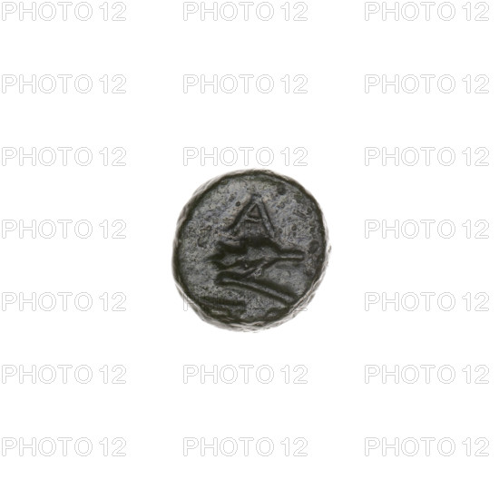 bronze coin, Pantikapaion; obverse: bull's head 3/4 to the right; reverse: plough to the left, above it an ear of corn to the left; letters on the sides and top; iconography: ears of corn, bull's head, plows; subjects: bulls, animals, tools, plants; maker: Terlecki, Ignacy (1860-1916); date: end of 3rd - first half of 2nd century BC; region: Cimmerian Bosporus, Pantikapaion; coin; weight 1.25 g; axis 90°; dimensions: 8.9 mm × 9.6 mm
