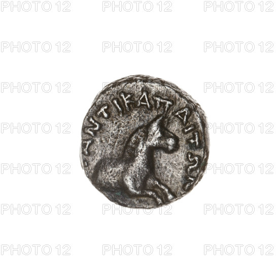 tetrobol, Pantikapaion, head of Apollo (iconographic), horse prototype (iconographic), Black Sea, animals, horses, Apollo (mythology); obv: head of Apollo right; obv: prototype of a galloping horse right, rim inscription at the top; 1st half of the 2nd – ca. mid-2nd century BC, Cimmerian Bosporus, Pantikapaion; coin; weight 2.75 g; diameter 13.7 × 13.4 mm