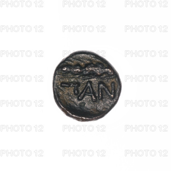 Bronze coin, Pantikapaion; obverse: head of Apollo to the right, ear of corn to the left, inscription below; iconography: Apollo (mythology), plants; date: 1st half of the 2nd — ca. mid-2nd century BC; region: Cimmerian Bosporus, Pantikapaion; material: bronze; object type: coin; weight: 1.18 g; dimensions: 11.2 mm × 10.8 mm.