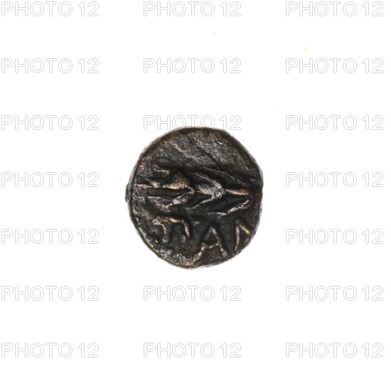 bronze coin, Pantikapaion; obverse: head of Apollo to the right; obverse: ear of corn to the left, inscription below; iconography: Apollo (mythology), plants; 1st half of the 2nd–ca. mid-2nd century BC; Cimmerian Bosporus; weight 0.93 g; dimensions 9.9 mm × 9.4 mm