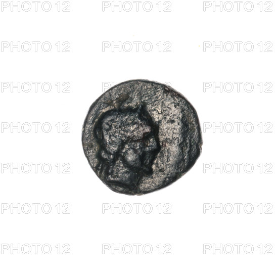 Bronze coin, Pantikapaion; obverse: head of Apollo to the right; ear of corn to the left, inscription below; iconography: Apollo (mythology), plants; 1st half of the 2nd – ca. mid-2nd century BC; Cimmerian Bosporus, Pantikapaion; coin; weight 0.87 g; dimensions 11.3 × 11.8 mm.