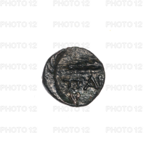 bronze coin, Pantikapaion, ears of corn, head of Apollo (iconographic), Black Sea, Apollo (mythology), plants; obv: head of Apollo to the right; obv: ear of corn to the left, inscription below; 1st half of the 2nd - ca. mid-2nd century BC, Cimmerian Bosporus, Pantikapaion, coin; weight 0.87 g; diameter 11.3–11.8 mm