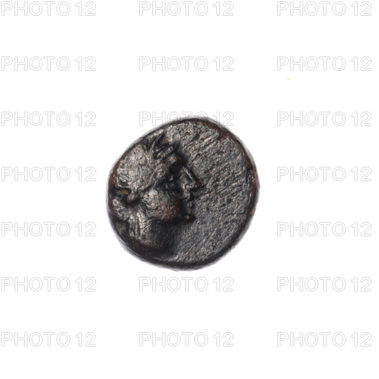 bronze coin, Pantikapaion, dolphins, head of Apollo (iconographic), Black Sea, Apollo (mythology), animals, obv: head of Apollo to the right; obv: dolphin to the right, inscription below; 1st half of the 2nd - ca. mid-2nd century BC, Cimmerian Bosporus, Pantikapaion, coin, weight 1.35 g, dimension 1 10.8 mm, dimension 2 10.9 mm