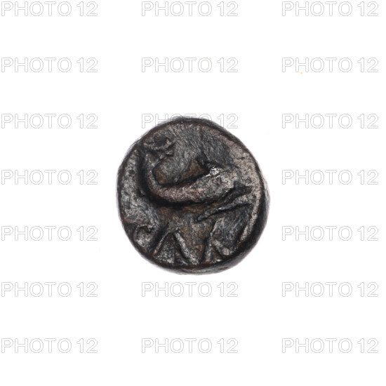 bronze coin, Pantikapaion; obverse: head of Apollo to the right; reverse: dolphin to the right, inscription below; Apollo (mythology), animals; 1st half of the 2nd–ca. mid-2nd century BC; Cimmerian Bosporus, Pantikapaion; coin; weight 1.35 g; diameters 10.8 mm and 10.9 mm