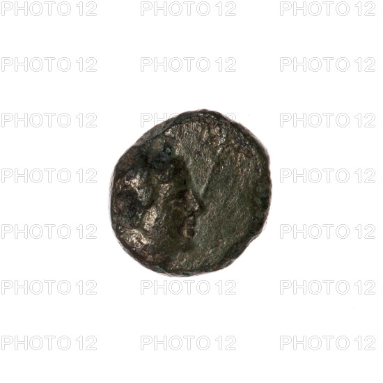 Bronze coin, Pantikapaion; obverse: head of Apollo to the right, dolphin to the left, inscription below; iconography: Apollo (mythology), animals; Cimmerian Bosporus, Pantikapaion; 1st half of the 2nd–ca. mid-2nd century BC; weight 1.65 g; dimensions 11.5 mm × 11.3 mm.