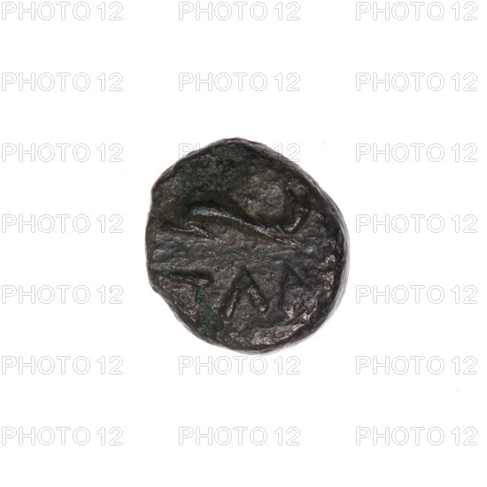 Bronze coin, Pantikapaion; obverse: head of Apollo to the right, dolphin to the left, inscription below; iconography: Apollo (mythology), animals; 1st half of the 2nd — ca. mid-2nd century BC; Cimmerian Bosporus, Pantikapaion; coin; weight 1.65 g; dimensions 11.5 mm × 11.3 mm