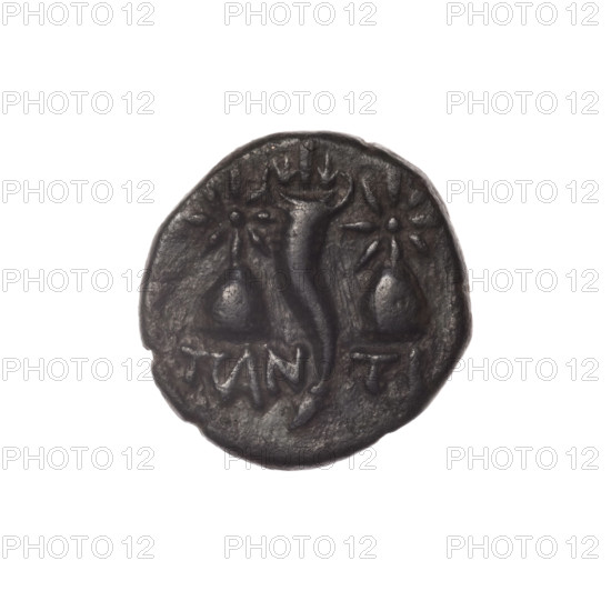 bronze coin, Pantikapaion; obverse: head of bearded Satyr in ivy wreath facing left, cornucopia, Dioscuri caps topped with stars on the sides, inscription below them; iconography: Dioscuri caps, Satyr's head, cornucopia; subject: Satyr (mythology), Dioscuri (mythology); date: 4th quarter of the 2nd century BC; region: Cimmerian Bosporus, Pantikapaion; medium: coin (bronze); weight 4.60 g; axis 330°; dimensions: 17 mm × 16.5 mm