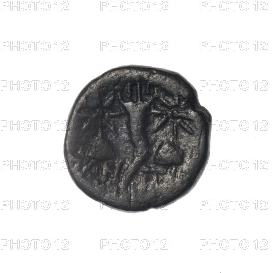 Bronze coin, Pantikapaion; obverse: head of bearded Satyr in ivy wreath facing left; reverse: cornucopia, Dioscuri caps topped with stars on the sides, inscription below; iconography: Dioscuri caps, Satyr's head, cornucopia; mythology: Satyr, Dioscuri; Black Sea region; 4th quarter of the 2nd century BC; Cimmerian Bosporus; weight 4.32 g; dimensions 17.5–18 mm.