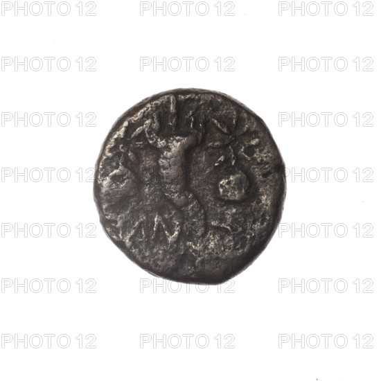 bronze coin, Pantikapaion, Dioscuri caps (iconographic), Satyr's head (iconographic), Black Sea, cornucopia (iconographic), Satyr (mythology), Dioscuri (mythology), aw: head of bearded Satyr in ivy wreath facing left; rw: cornucopia, Dioscuri caps topped with stars on the sides, inscription below them; 4th quarter of the 2nd century BC, Cimmerian Bosporus, Pantikapaion, coin, weight 4.23 g, dimension 1 17.5 mm, dimension 2 17.3 mm
