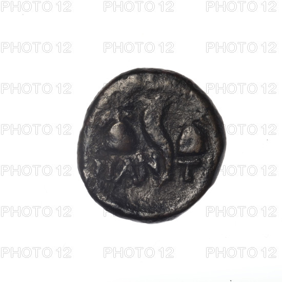 bronze coin, Pantikapaion; head of a bearded Satyr in an ivy wreath facing left (obverse); cornucopia, flanked by Dioscuri caps topped with stars, with an inscription below (reverse); iconography: Satyr, Dioscuri, cornucopia; 4th quarter of the 2nd century BC; Cimmerian Bosporus, Pantikapaion; coin; weight 4.10 g; dimensions 17.4 mm × 16.6 mm; maker/attribution: Pantikapaion.